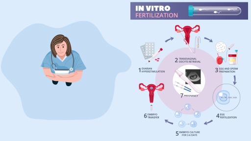 Top IVF Best Doctor In Hyderabad