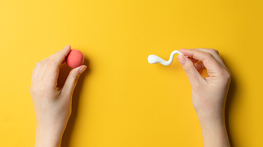 Fertility Treatment In Hyderabad