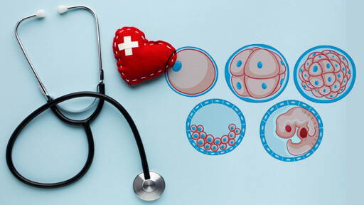
Top Fertility Specialist Doctor In Hyderabad