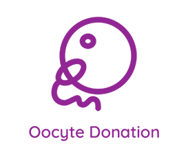 Fertility center in Hyderabad